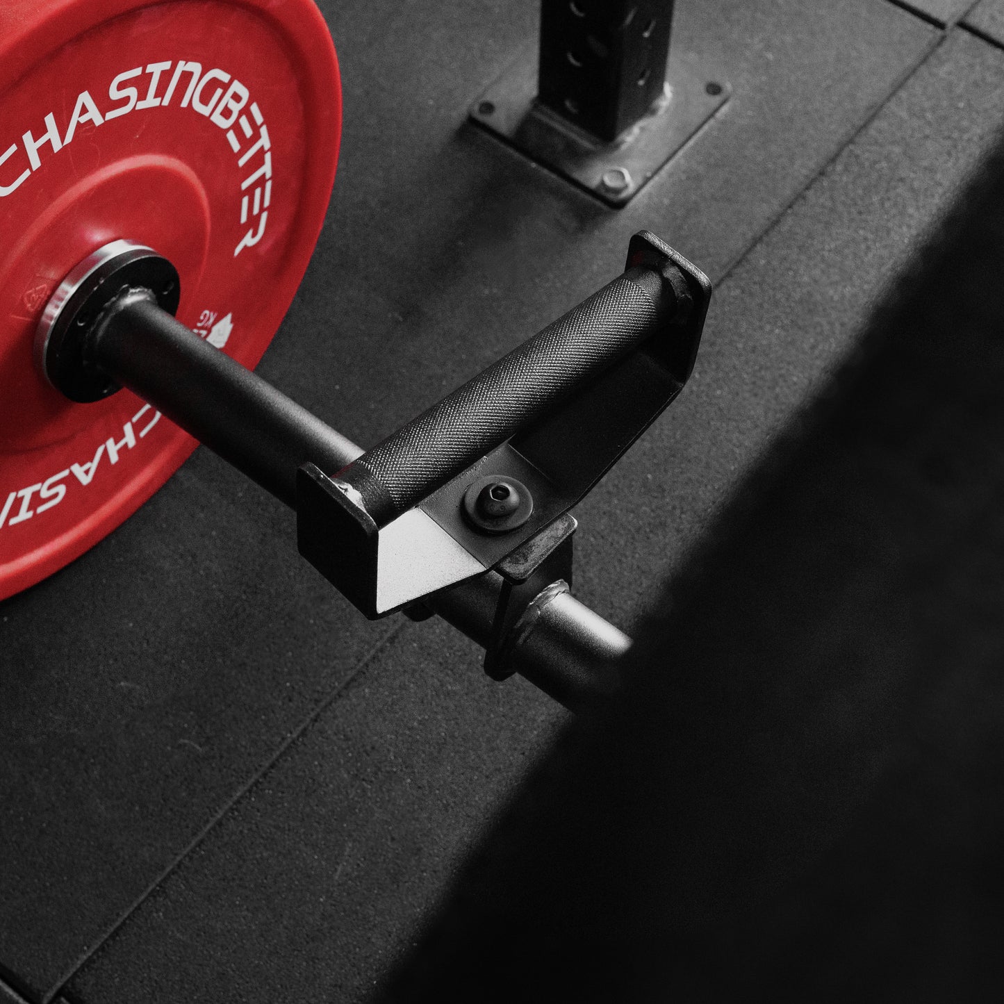 Prone Row