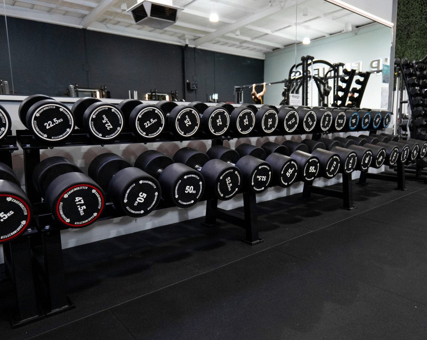 PU Dumbbell Rack (2 Tier) + 15kg - 50kg PU Dumbbells Package - 15 pairs