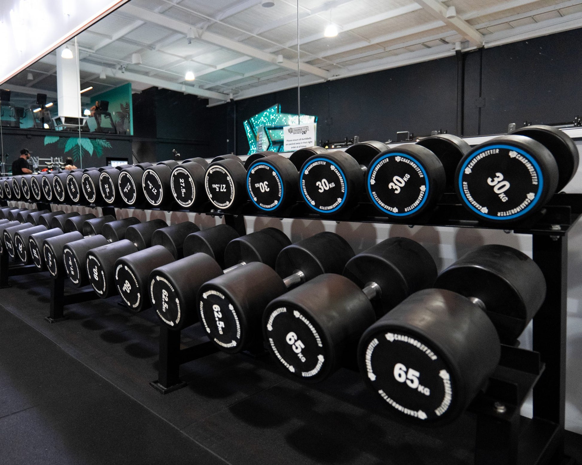 PU Dumbbell Rack (2 Tier) 15kg 50kg PU Dumbbells Package 15