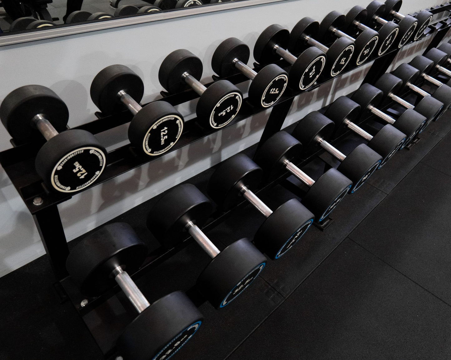 PU Dumbbell Rack (2 Tier) + 12.5kg – 35kg PU Dumbbells – 10 pairs